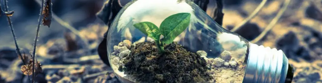 Ochrona środowiska – atrakcyjne oferty pracy w branży