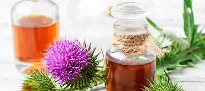  Ostropest zioła - leczy katar, wspiera odporność i działa przeciwwirusowo. Właściwości i działanie ostropestu plamistego [57 chars]