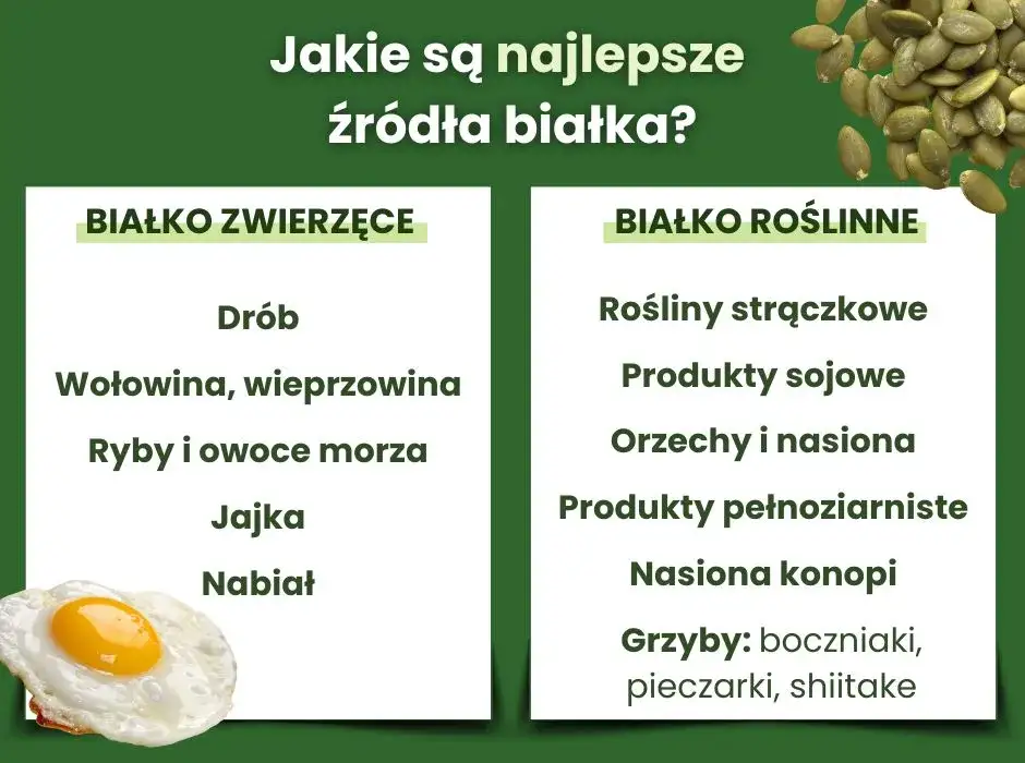 Najlepsze roślinne źródła białka: Lista, porady, pełnowartościowa dieta