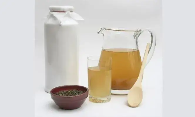 Gdzie kupić herbatę kombucha? Najlepsze miejsca i ceny w Polsce