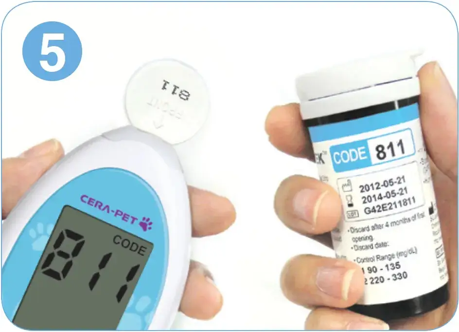 Jak przygotować glukozę dla psa - proste kroki i ważne wskazówki