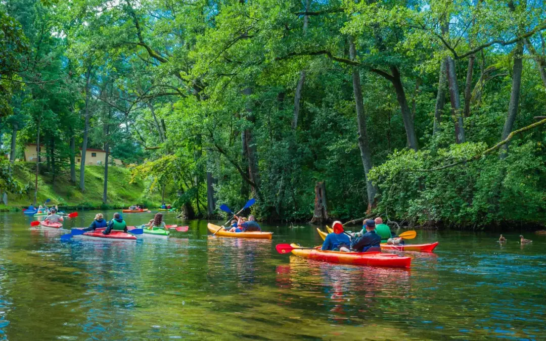 Ruciane-Nida: Atrakcje, szlaki, rejsy. Odkryj serce Mazur!