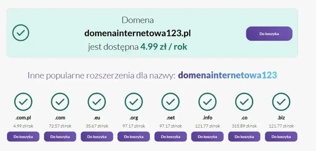 Ile kosztuje domena internetowa? Poznaj ukryte opłaty i różnice cenowe