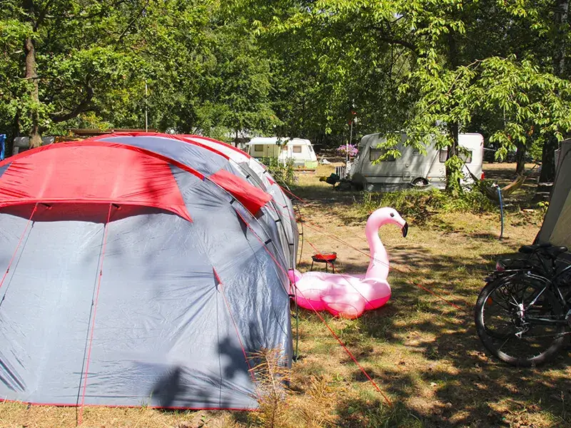 Turawa Camp - najlepszy camper park nad jeziorem dużym w Turawie