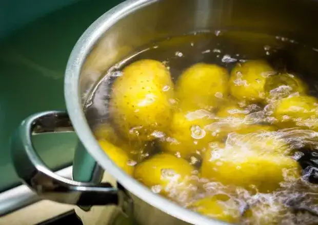 Czy solić warzywa na sałatkę? Zasady, które zmienią Twój smak!