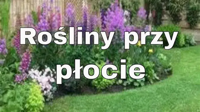 Co posadzić przy płocie z siatki, aby stworzyć piękny ogród?