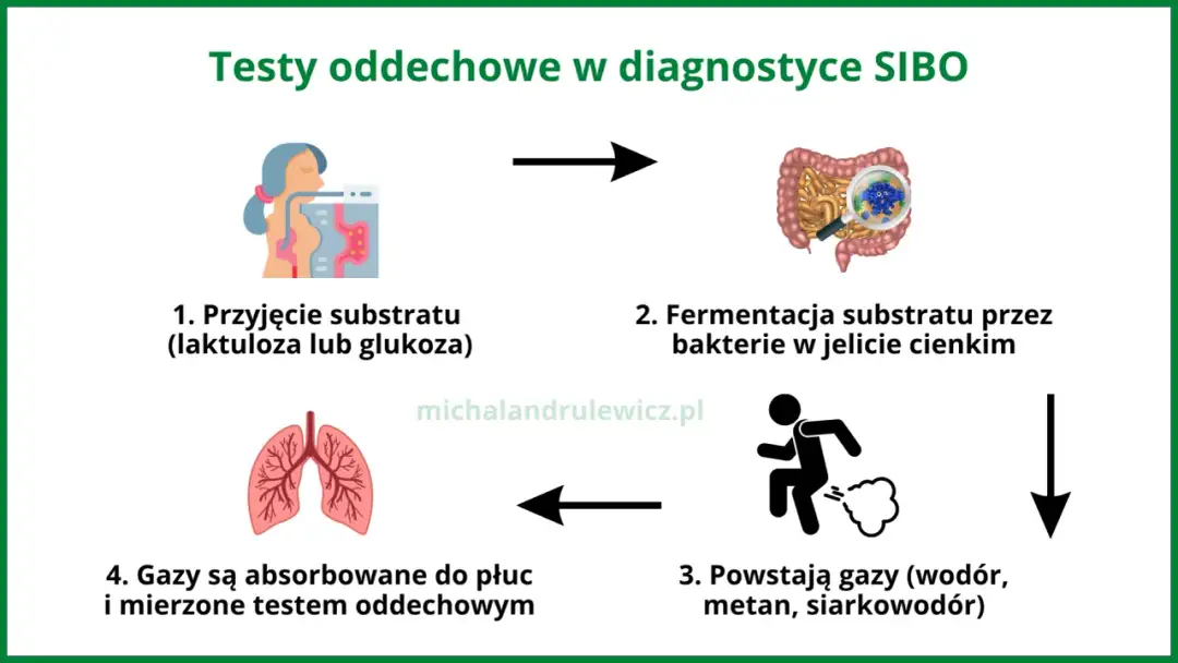 Jak czytać diagnozę SI? Wzorcowy przykład i co dalej
