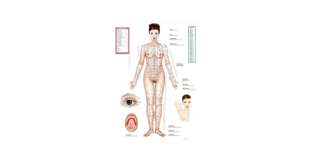 Punkty akupunkturowe: Twoja mapa do zdrowia i równowagi
