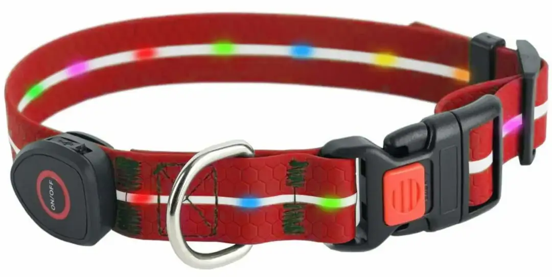 Ile kosztuje obroża dla psa? Ceny, porównania i najlepsze oferty