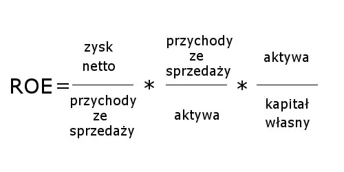 Wskaźnik ROE: Odkryj sekrety rentowności i uniknij pułapek