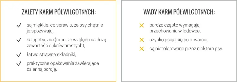 Sucha czy mokra karma dla psa? Porównanie, wady i zalety.