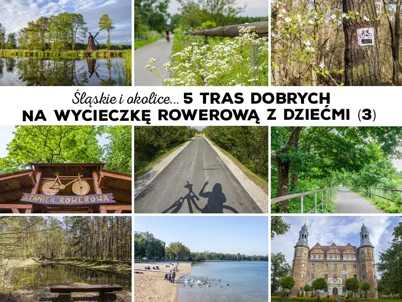 Najlepsze trasy rowerowe na Śląsku dla rodzin z dziećmi