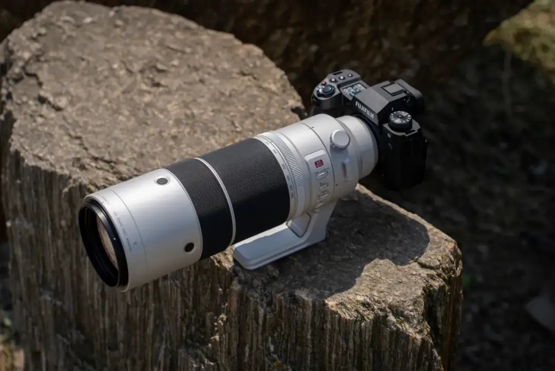 Najlepsze obiektywy do fotografii ptaków. Profesjonalny wybór dla myśliwych obiektywów