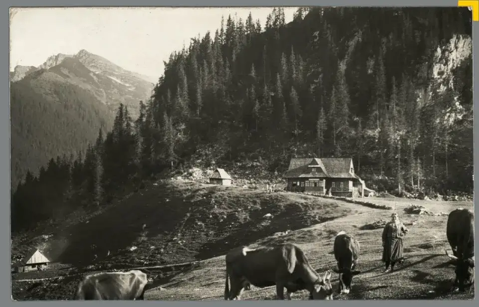 Jak budowano szlaki w Tatrach? Poznaj sekrety dawnych mistrzów.