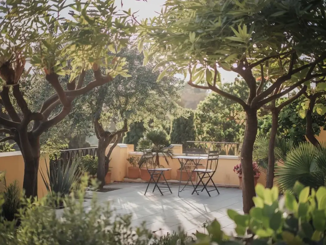 Jakie drzewo posadzić przy tarasie, aby uniknąć problemów z cieniem?