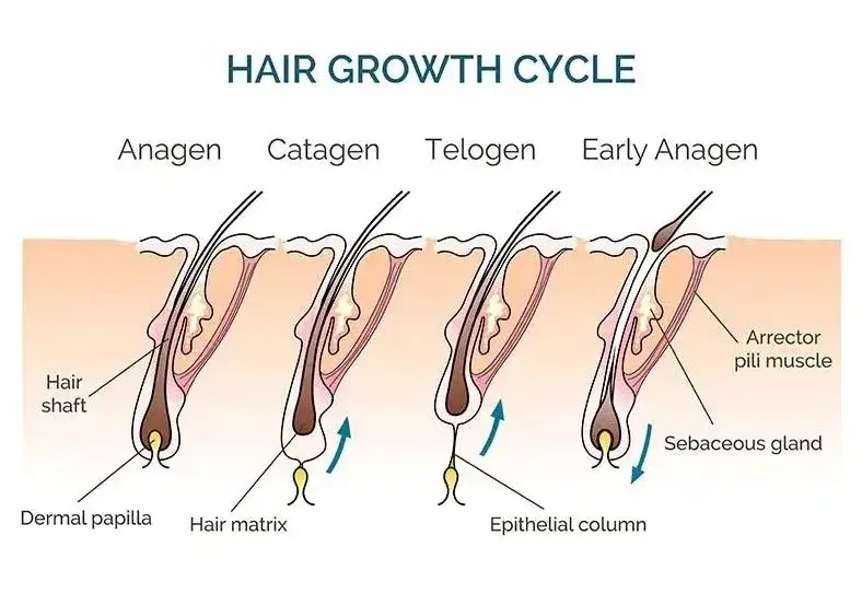 Jak działa depilacja laserowa? Sekrety skuteczności i bezpieczeństwa