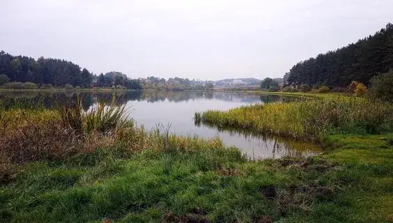 Jezioro Wysockie - najlepsze miejsce na wypoczynek nad wodą w Gdańsku