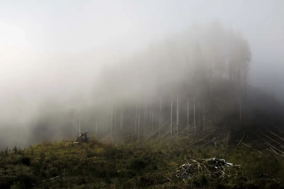 Brzydkie zdjęcia - Dlaczego wychodzą i jak robić lepsze fotografie?