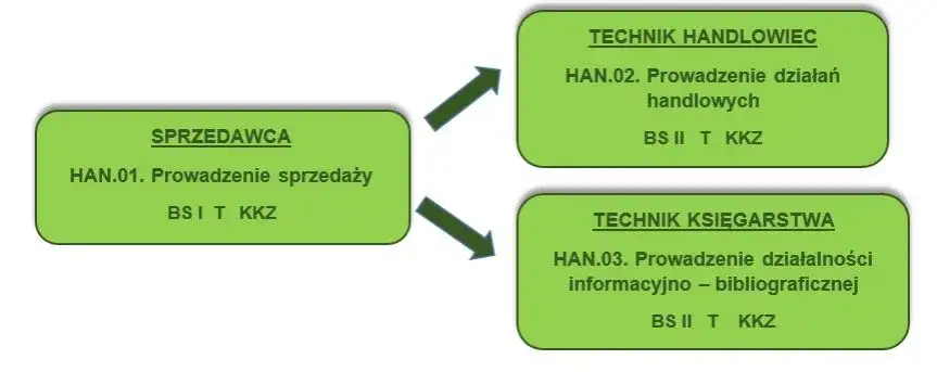 Tytuły po studiach w Polsce: Jakie kwalifikacje możesz zdobyć?