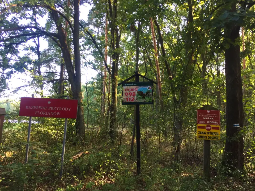 Rezerwat przyrody Florianów: tajemnice, które warto poznać
