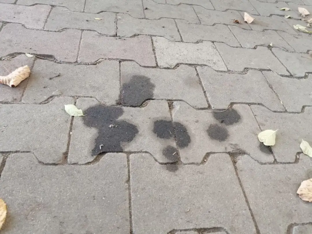 Skuteczne sposoby na usunięcie tłustych plam z kostki brukowej