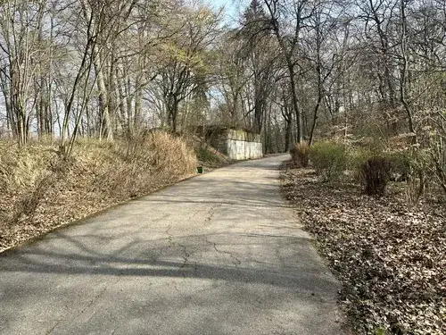 Gdzie na spacer z psem koło Krakowa? Odkryj najlepsze miejsca