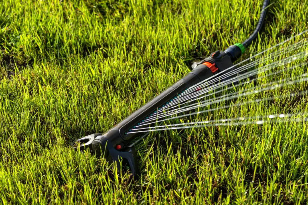 Jak ustawić zraszacz wahadłowy? Perfekcyjny trawnik krok po kroku