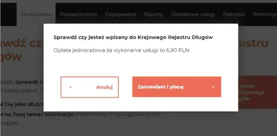 Czy jestem w KRD? Sprawdź, czy masz długi i uniknij problemów finansowych