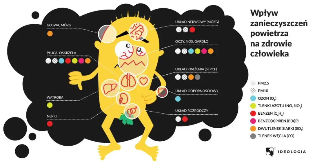 Zanieczyszczenia środowiska: Typy, źródła, skutki. Jak się chronić?