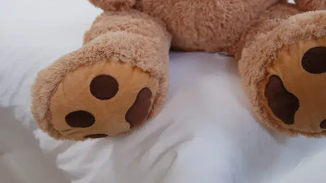 Gdzie można kupić ogromnego pluszowego misia w najlepszych cenach