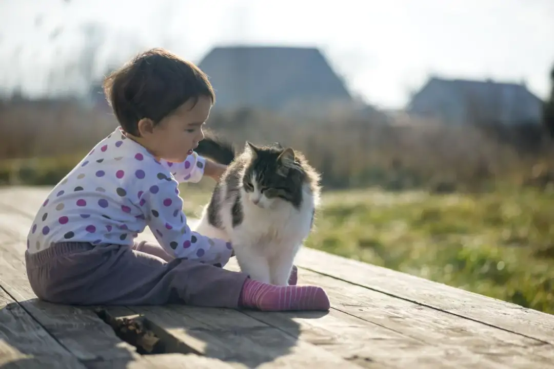 Alergia na kota: objawy u dziecka, które warto znać, aby pomóc