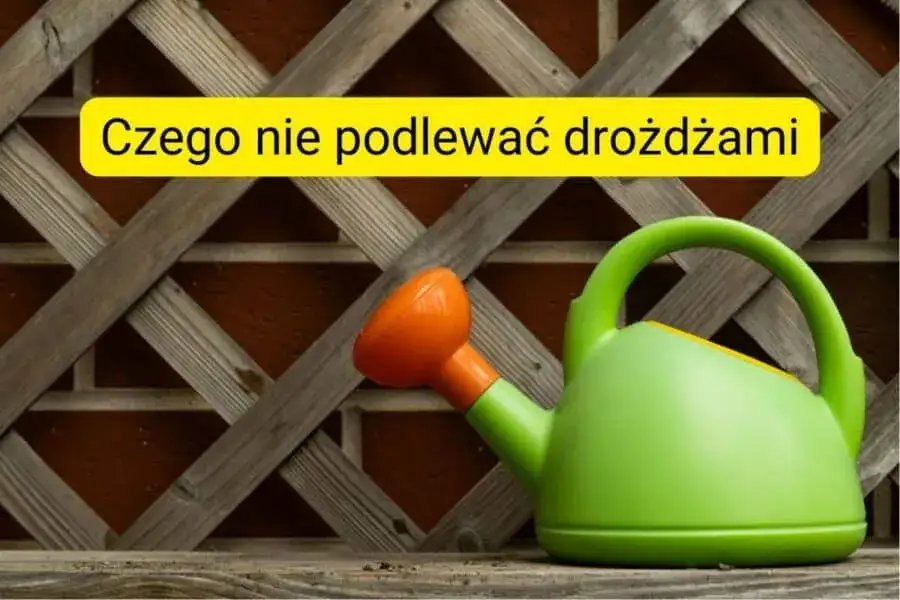 Czego nie opryskiwać drożdżami? Rośliny, które mogą ucierpieć