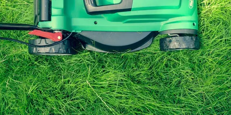 Jak kosić trawnik skutecznie i uniknąć najczęstszych błędów