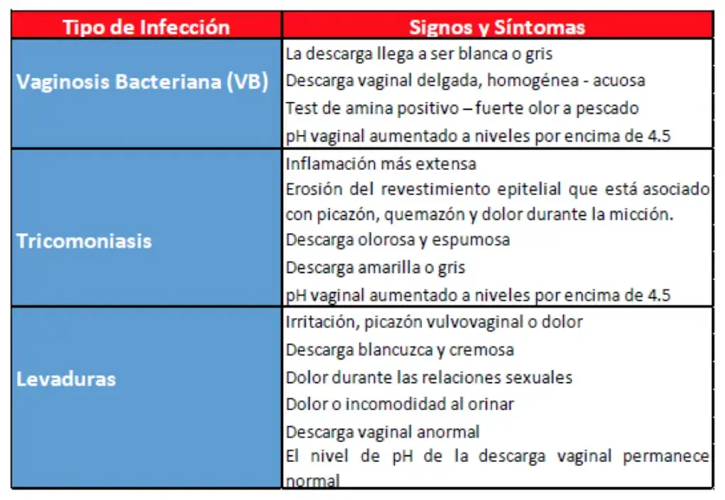 Síntomas de vaginosis bacteriana: identifica los signos y evita complicaciones