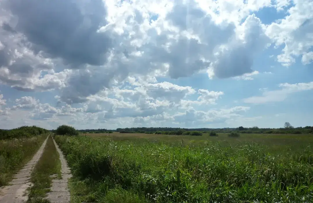 Trasa rowerowa Rowy Czołpino: piękne widoki i praktyczne porady