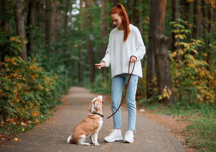 Jak skutecznie nauczyć szczeniaka sikać na dworze – praktyczne porady i metody