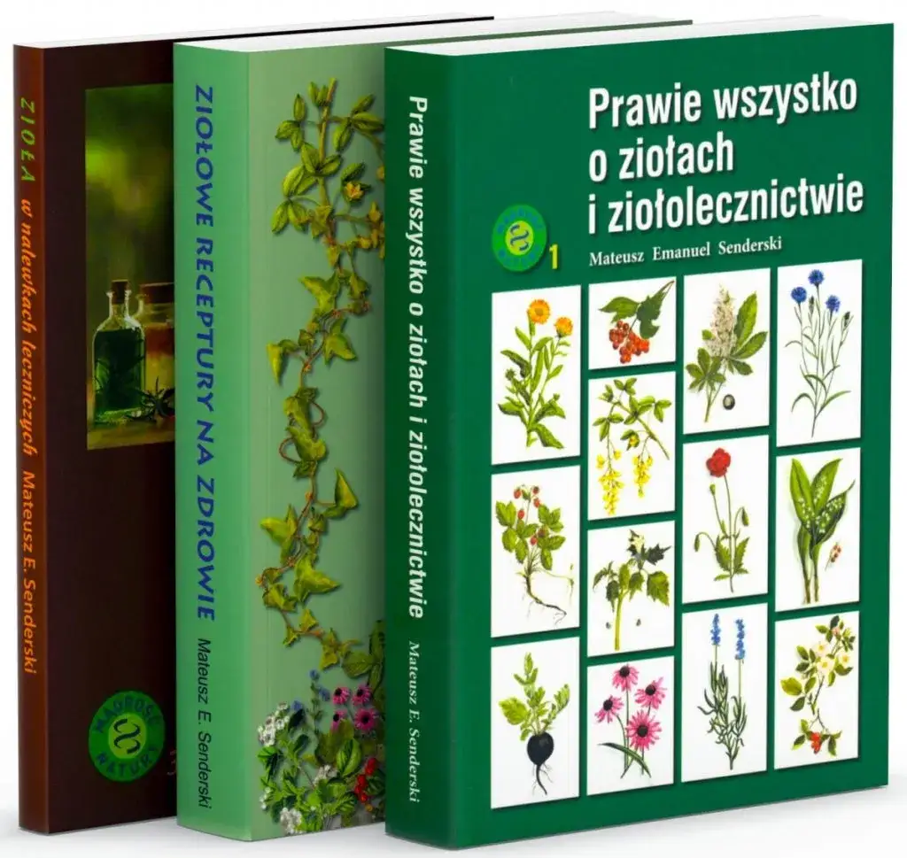 10 najlepszych blogów o ziołach: wiedza o ziołolecznictwie