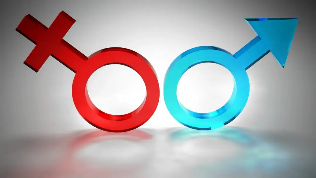 Ordo iuris co to znaczy po polsku i jego wpływ na społeczeństwo