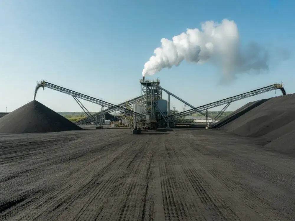 Ekogroszek co to - poznaj jego właściwości i wpływ na środowisko