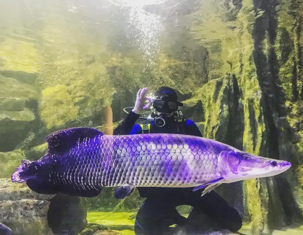 Oceanarium Zachodniopomorskie - Niezapomniane atrakcje w Międzyzdrojach