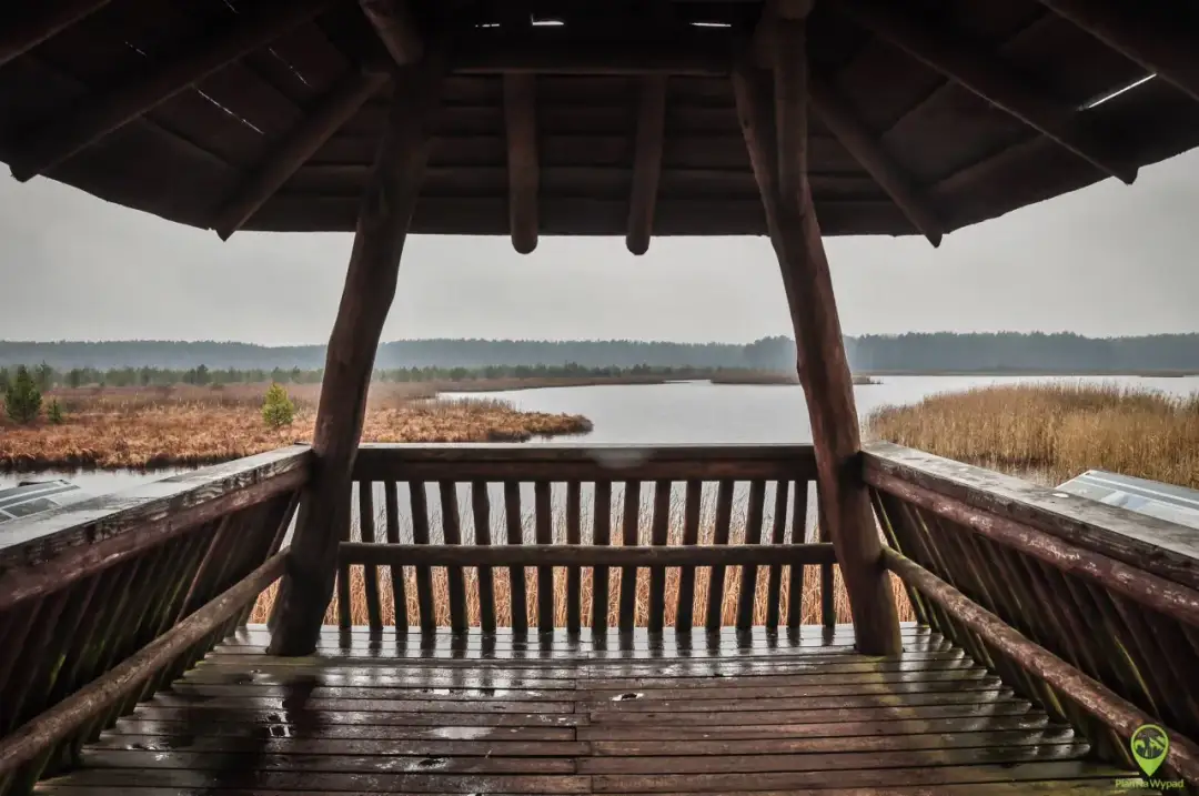 Janów Lubelski: Odkryj TOP atrakcje! Co warto zobaczyć?