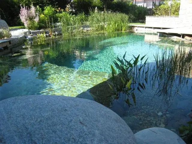 Ile kosztuje czyszczenie stawu? Sprawdź, co wpływa na ceny usług