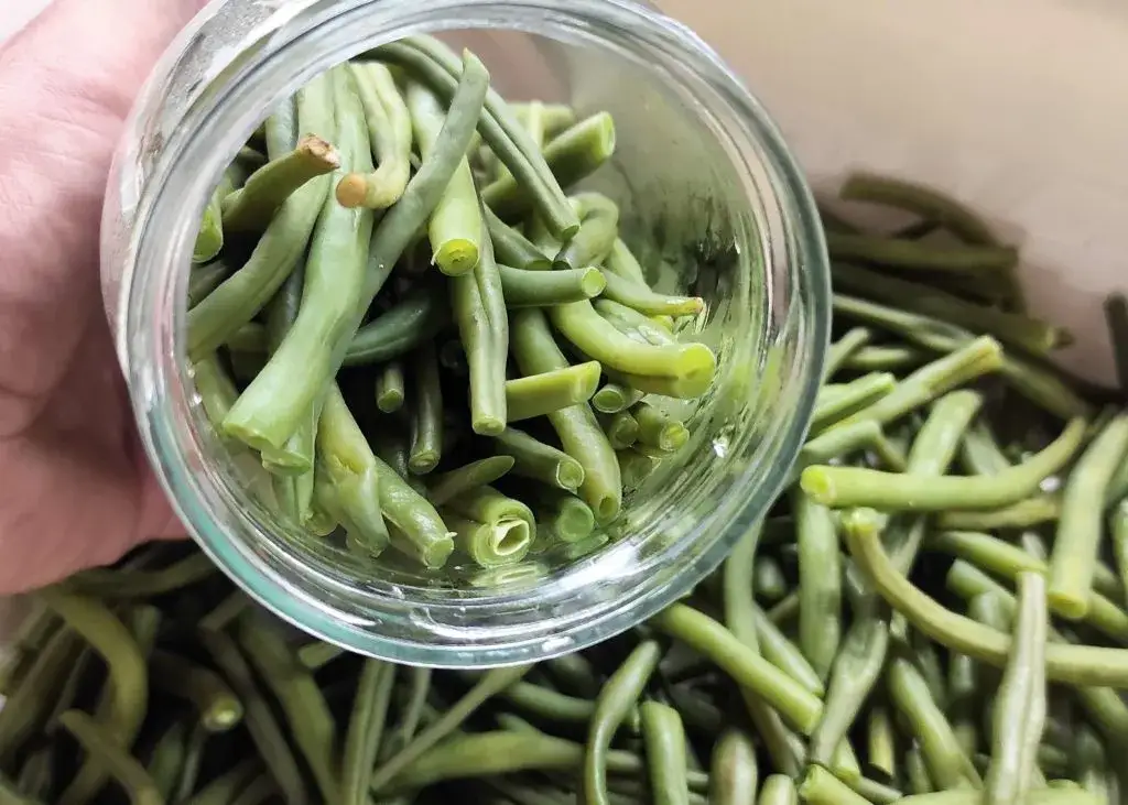 10 pysznych dań z fasolką szparagową | przepisy krok po kroku