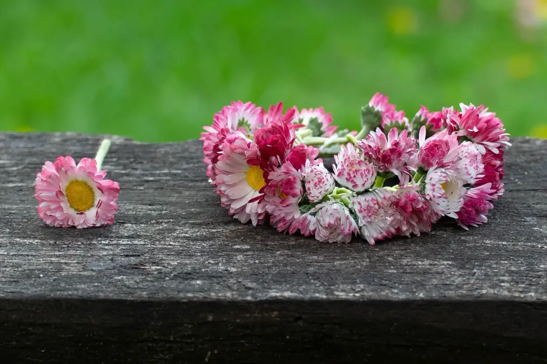 Jak zrobić wianek na cmentarz, aby uczcić pamięć bliskich?