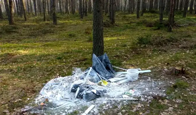 Dlaczego święty Franciszek został patronem ekologów? Historia i znaczenie dla współczesnej ekologii