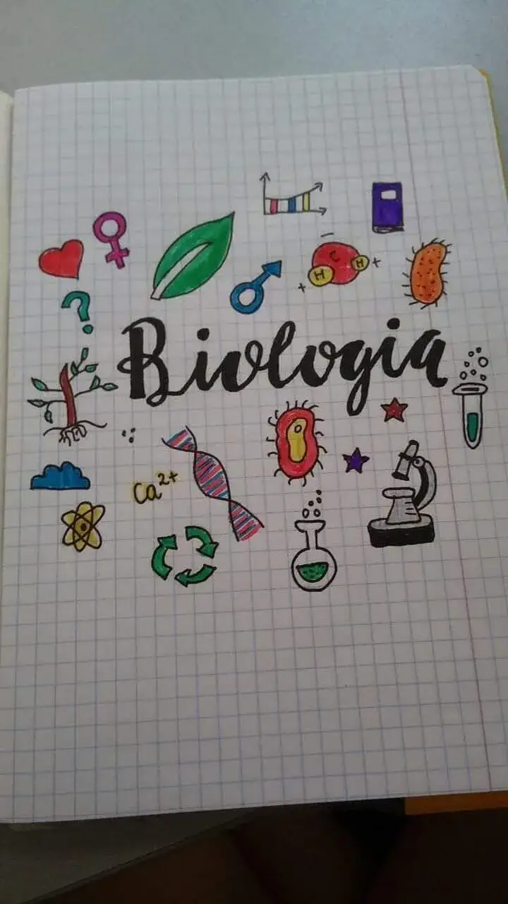 Jak ozdobić zeszyt do biologii – kreatywne pomysły na atrakcyjne notatki