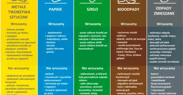 Gdzie wyrzucić śmieci: kompletny poradnik segregacji odpadów komunalnych