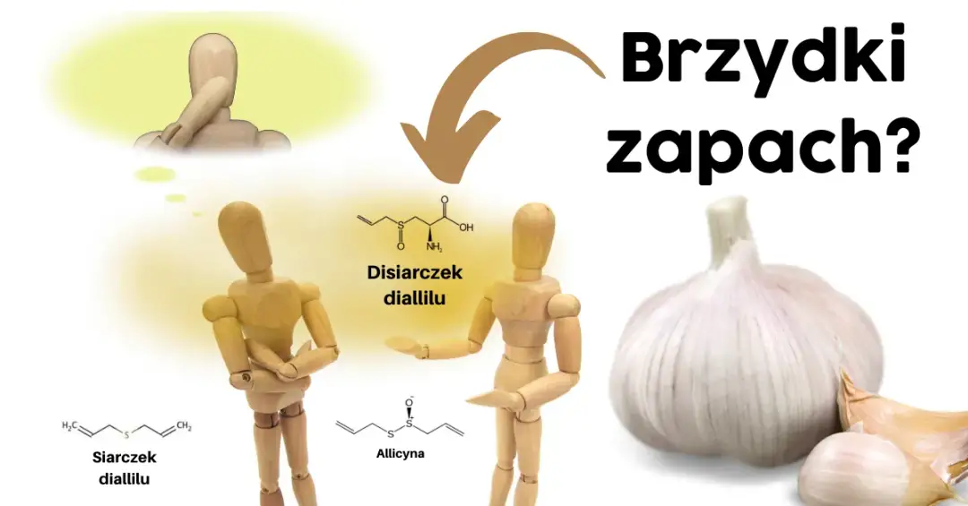 Czy czosnek jest zdrowy? Odkryj jego niesamowite właściwości!