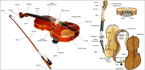 Jak sekundować na skrzypcach: proste techniki, które musisz znać
