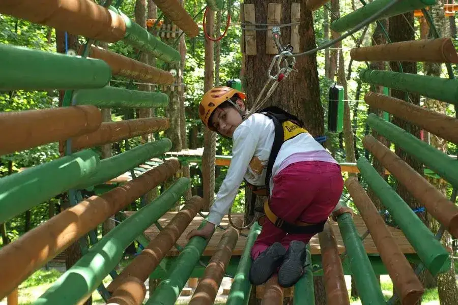 Park linowy Krosno - atrakcje, bezpieczeństwo i godziny otwarcia